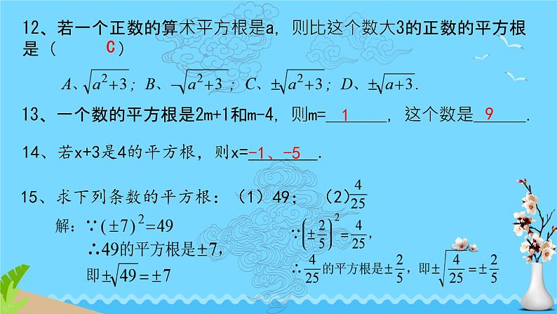 2025年九年级中考数学一轮专题复习 平方根综合 课件第8页