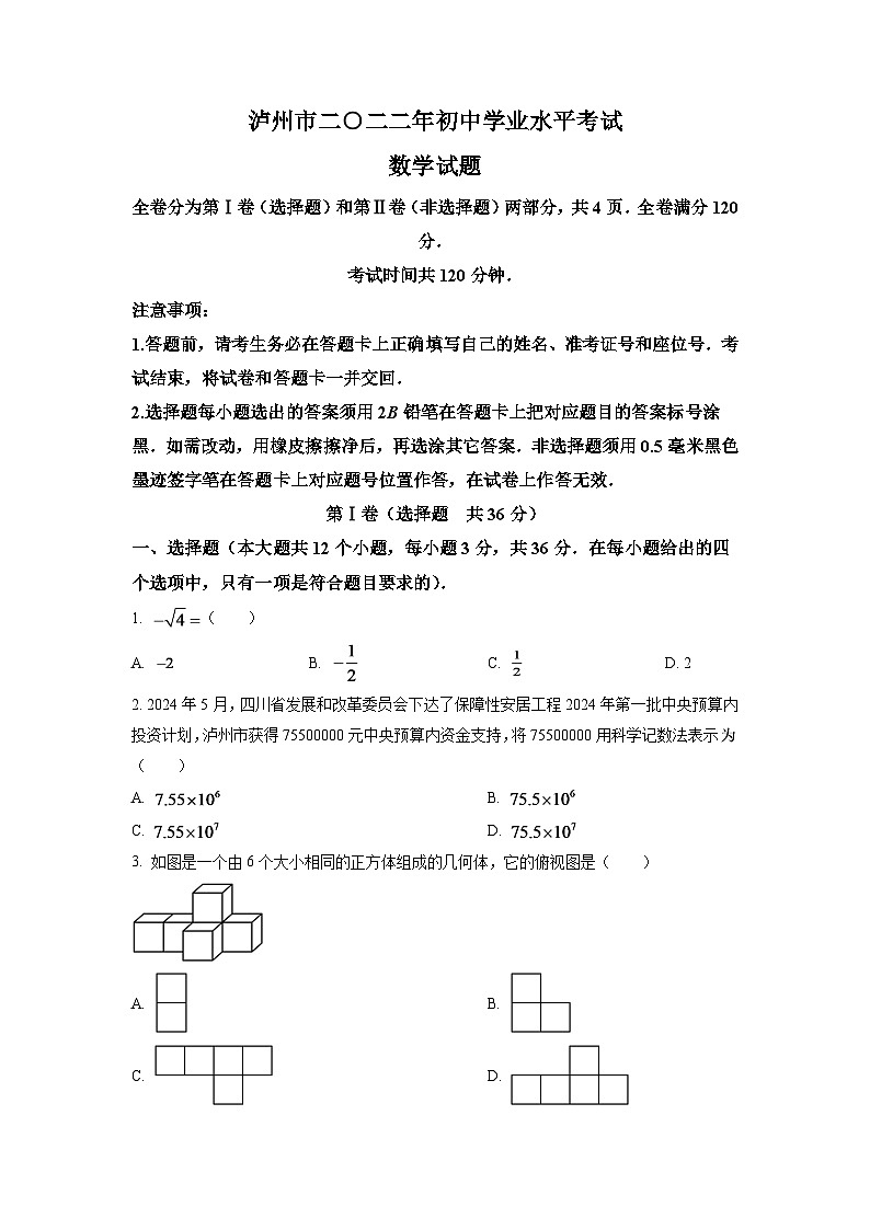 2024年四川省泸州市中考数学模拟试卷（原卷版）第1页