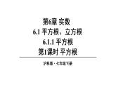 6.1 平方根、立方根 第1课时 (课件)-2024-2025学年沪科版(2024)七年级数学下册