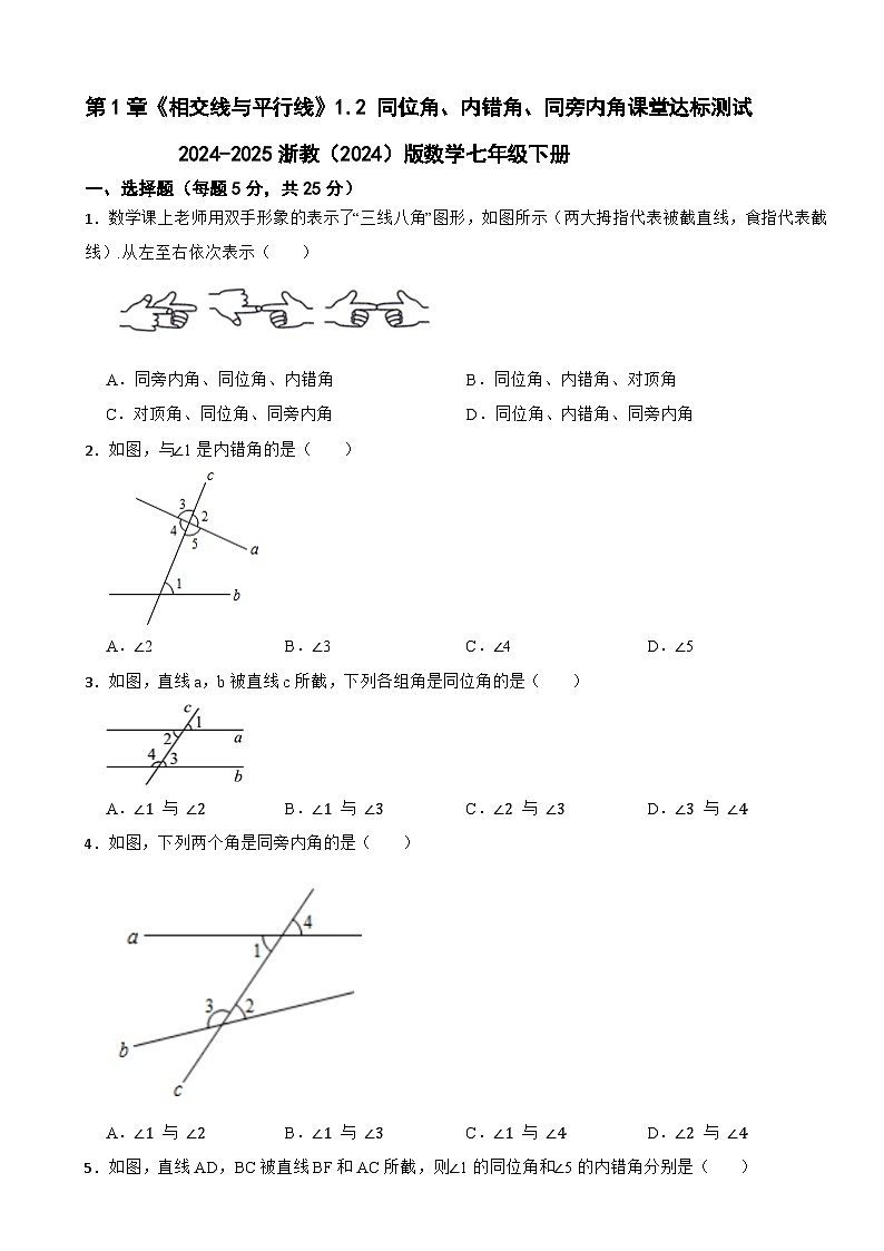 第1章 《相交线与平行线》1.2 同位角、内错角、同旁内角课堂达标测试2024-2025浙教(2024)版数学七年级下册第1页