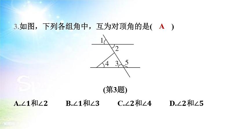 沪科版（2024新版）七年级下册数学第10章 相交线、平行线与平移 课件第6页