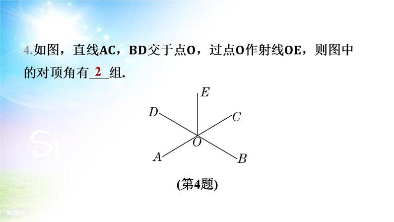 沪科版（2024新版）七年级下册数学第10章 相交线、平行线与平移 课件第7页