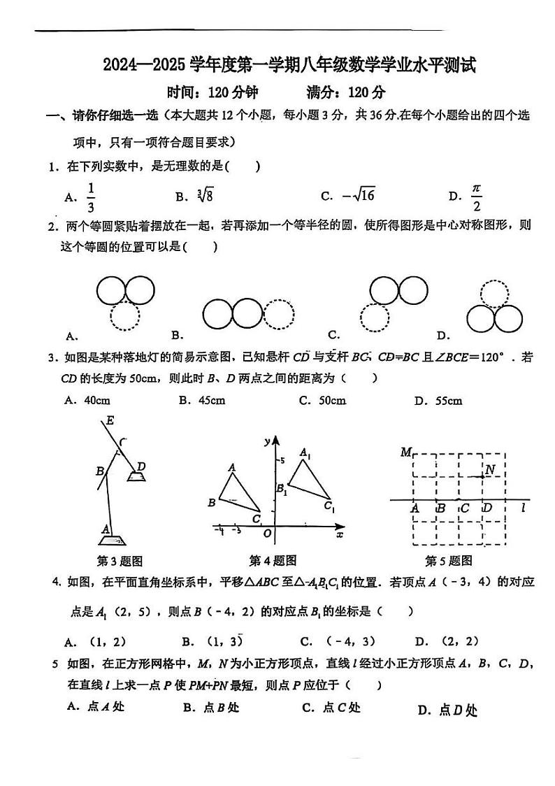 河北省石家庄外国语教育集团（43中）2024-2025学年八年级上学期期末 数学试卷第1页