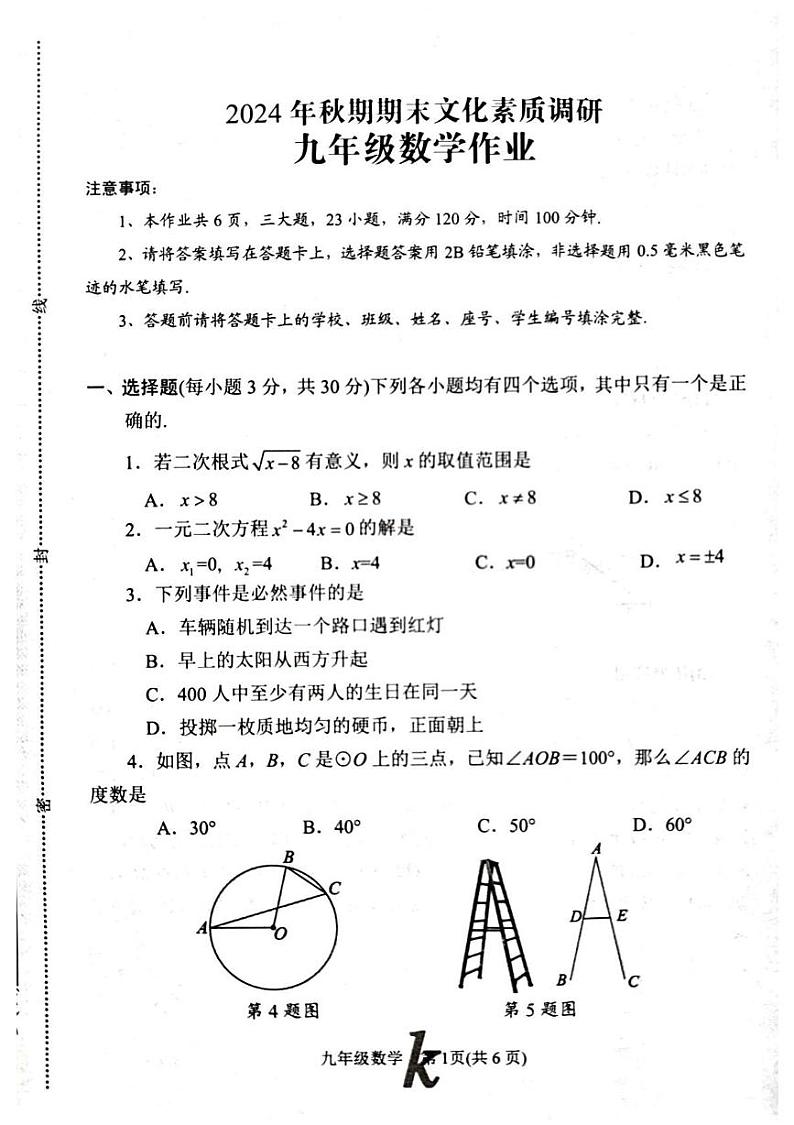 河南省南阳市西峡县2024-2025学年九年级上学期1月期末考试数学试题第1页