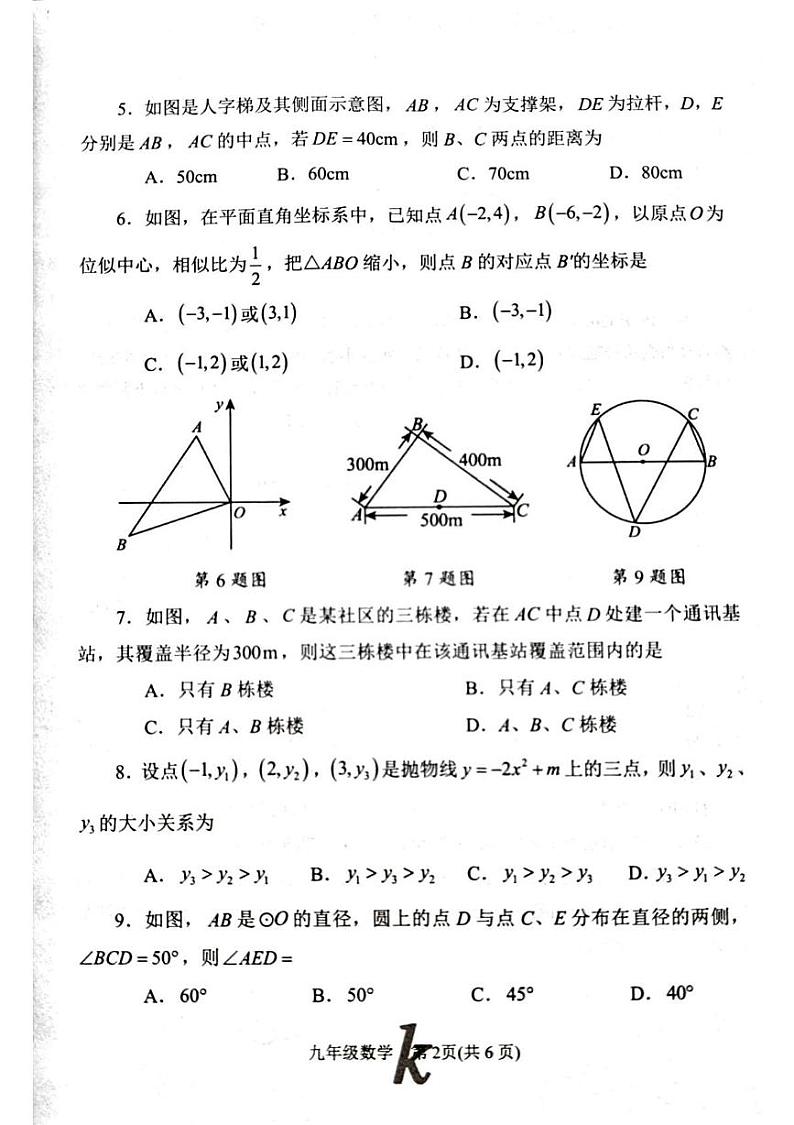 河南省南阳市西峡县2024-2025学年九年级上学期1月期末考试数学试题第2页