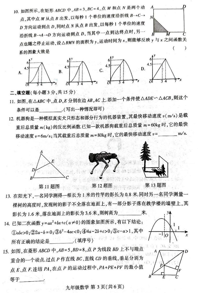 河南省平顶山市叶县2024-2025学年九年级上学期1月期末考试数学试题第3页