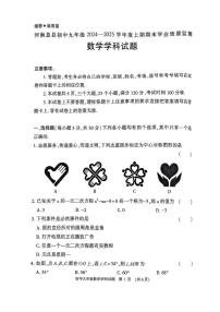河南省信阳市息县2024-2025学年九年级上学期1月期末数学试题