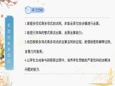 泸科2024数学七年级数学下册 第8章 8.2　整式乘法 第3课时 PPT课件