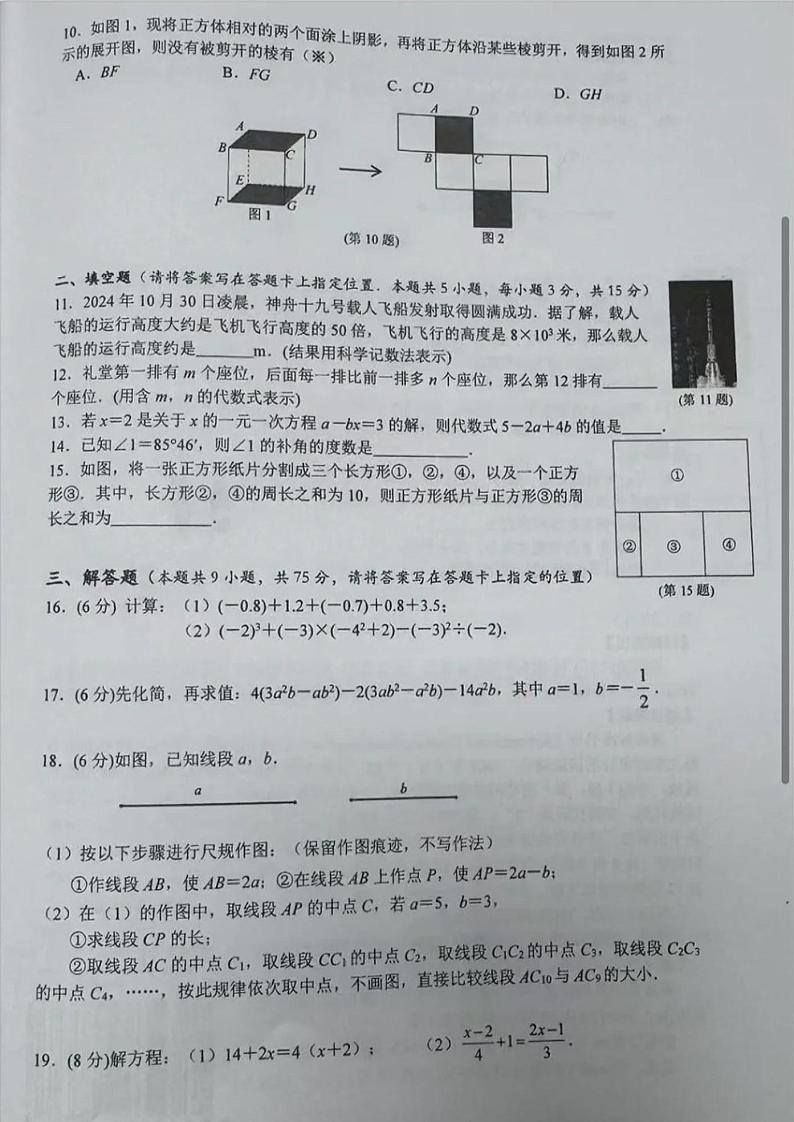 湖北省宜昌市西陵区2024-2025学年七年级上学期期末数学试题第2页