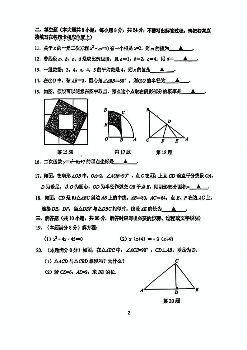 江苏省宿迁市泗阳县2024-2025学年九年级上学期期末数学试题第2页