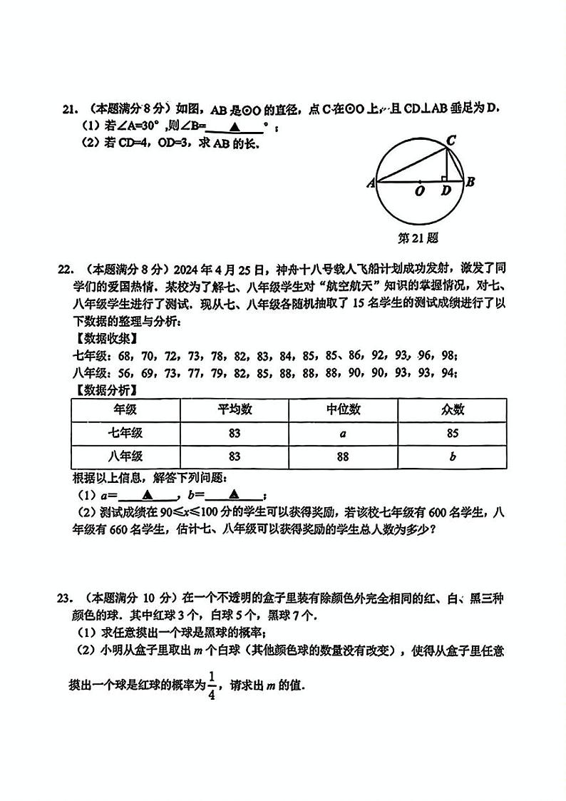 江苏省宿迁市泗阳县2024-2025学年九年级上学期期末数学试题第3页