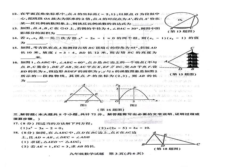 山东省聊城市莘县2024-2025学年上学期九年级数学期末试题第2页