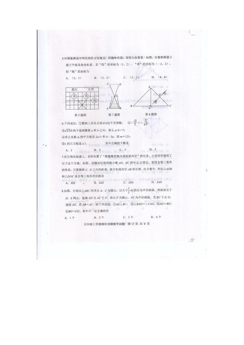 山东省泰安市新泰市2024-2025学年七年级上学期1月期末数学试题第2页