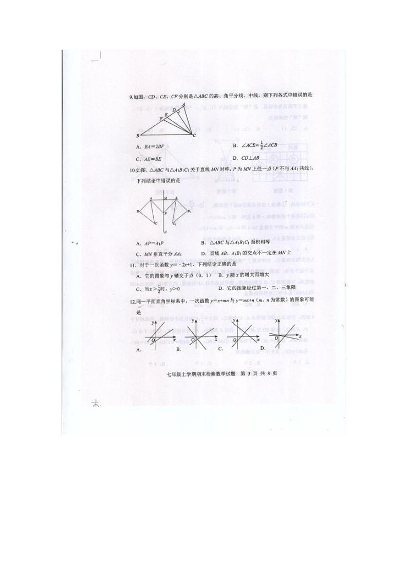 山东省泰安市新泰市2024-2025学年七年级上学期1月期末数学试题第3页