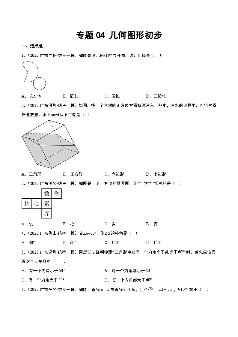 （广东专用）中考数学一轮复习分项汇编专题04 几何图形初步（原卷版）第1页