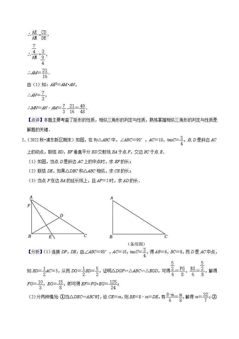 （上海专用）中考数学一轮复习考点分项练习专题11 几何综合题（解答题25题）（解析版）第3页