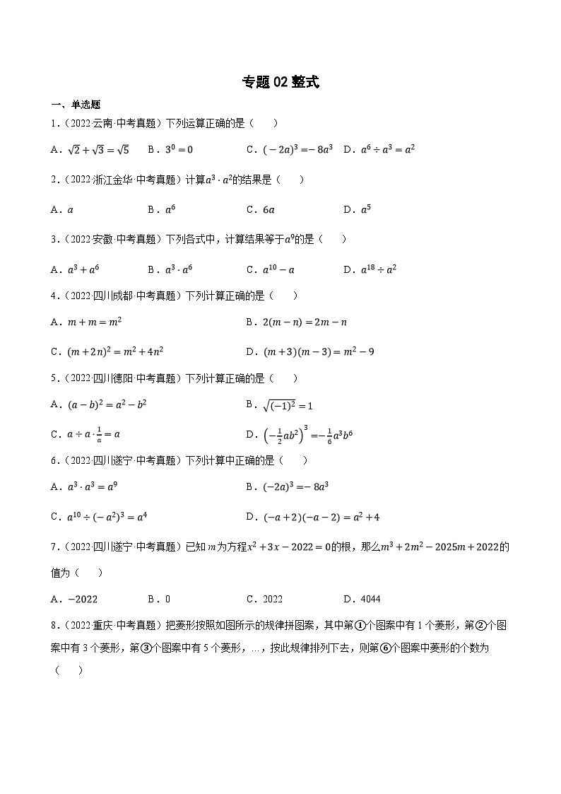 中考数学一轮复习考点分类练习专题02整式（原卷版）第1页