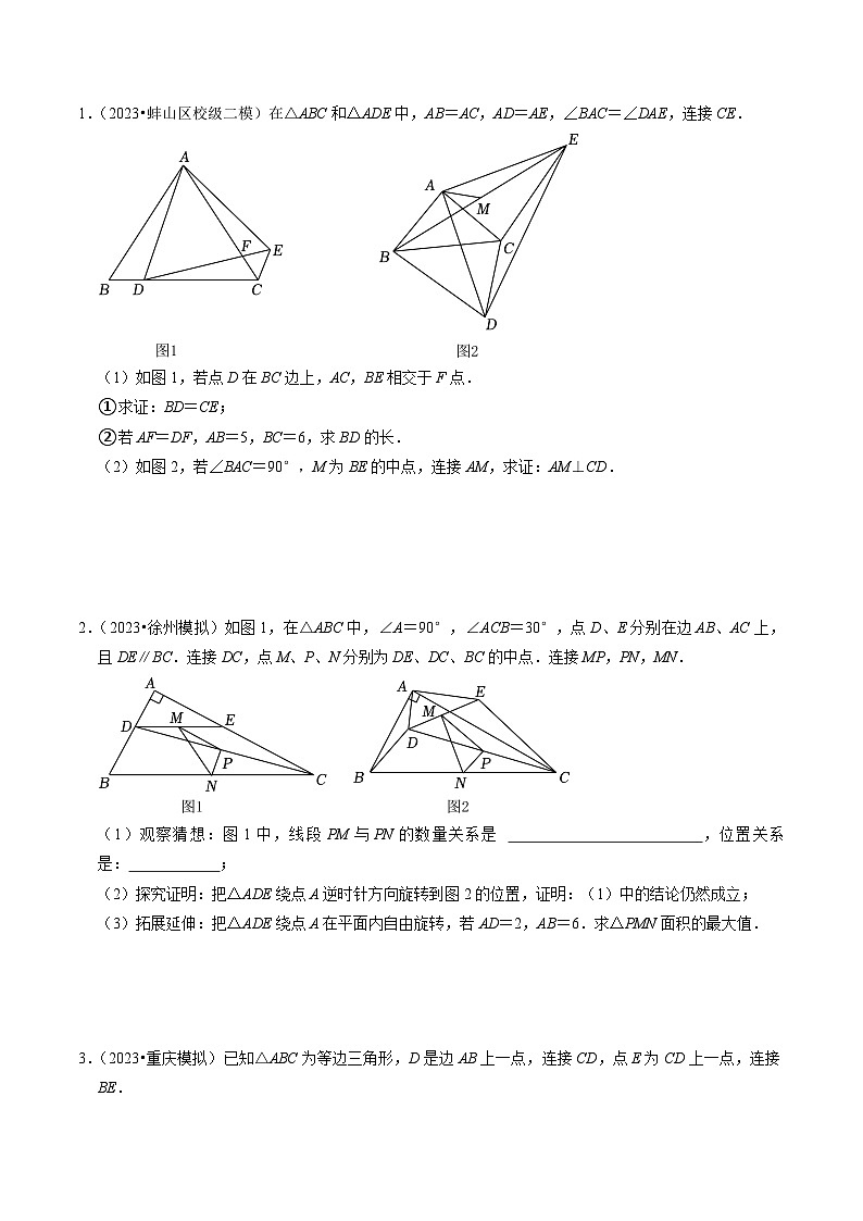 中考数学二轮培优题型训练压轴题13以三角形为背景的几何类比探究压轴问题（原卷版）第3页