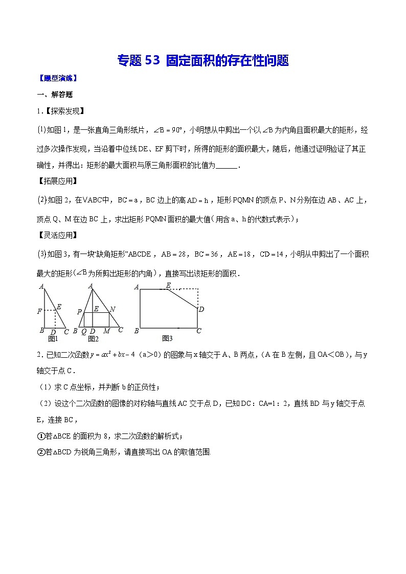 中考数学二轮培优重难点突破讲练专题53 固定面积的存在性问题(原卷版)第1页