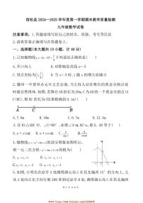 2024～2025学年安徽省安庆市宿松县九年级上期末数学试卷(含答案)