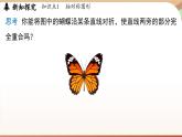 5.1 轴对称及其性质 （课件）2024—2025学年北师大版（2024）数学七年级下册