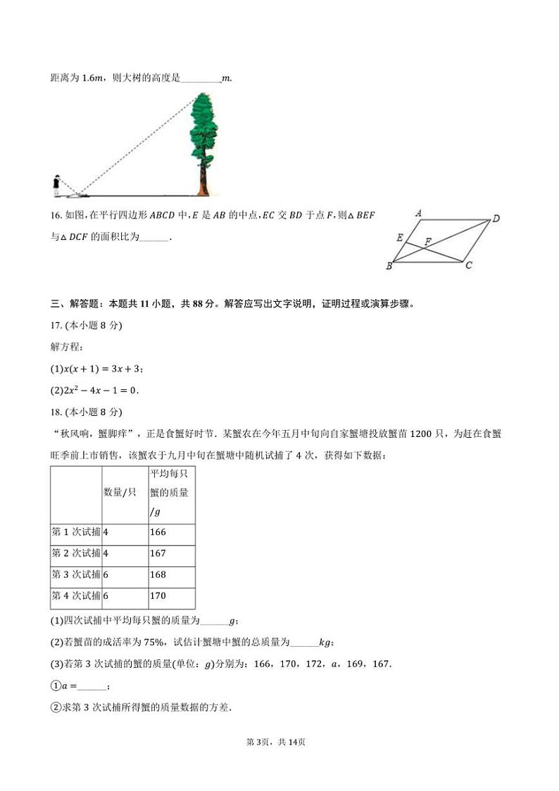 2024～2025学年江苏省盐城市响水县九年级(上)期末数学试卷(含答案)第3页