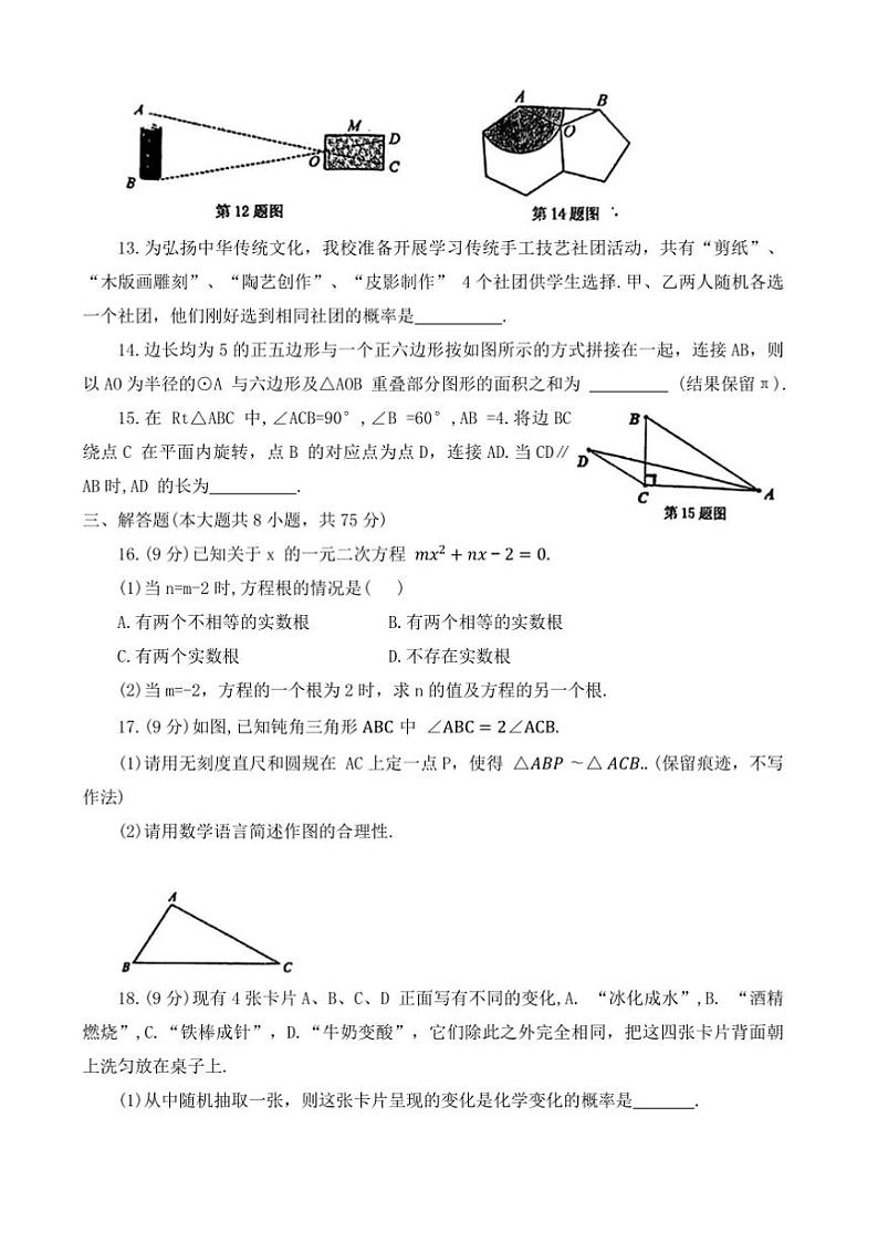 2024～2025学年河南省驻马店市正阳县九年级上1月期末数学试卷(含答案)第3页