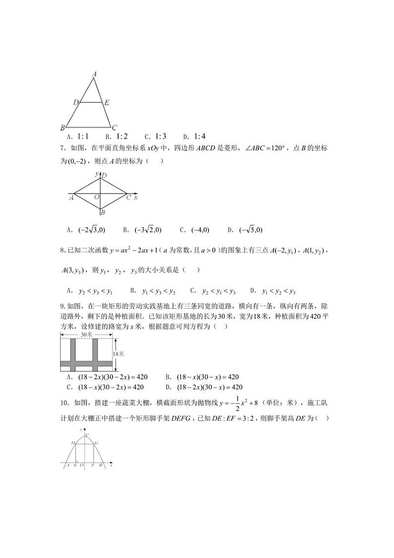 2024～2025学年河南省南阳市桐柏县九年级上1月期末数学试卷(含答案)第2页