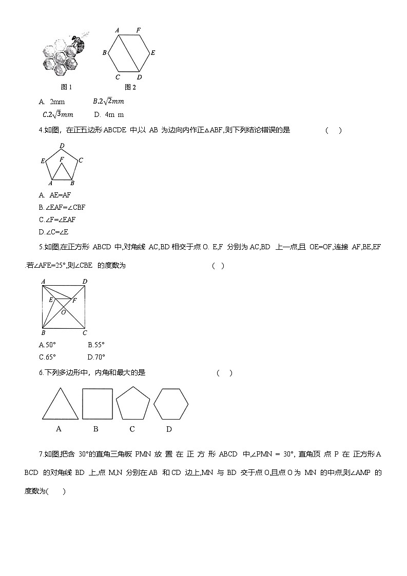 专题11 四边形与正多边形--2025年中考数学一轮复习知识点梳理及专项练习（含解析）第3页