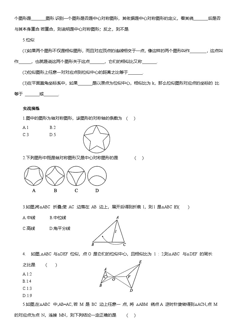 专题13 图形的变换--2025年中考数学一轮复习知识点梳理及专项练习（含解析）第2页