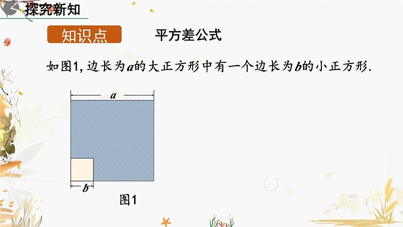 北师大版2024数学七年级下册 第1章  1.5 平方差公式（第2课时） PPT课件第4页