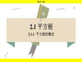 湘教版（2024）數(shù)學(xué)七年級(jí)下冊(cè) 2.1.1 平方根的概念（課件）
