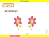湘教版（2024）数学七年级下册 5.1.2 轴对称（课件）