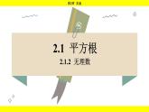 湘教版（2024）數(shù)學(xué)七年級(jí)下冊(cè) 2.1.2 無理數(shù)（課件）