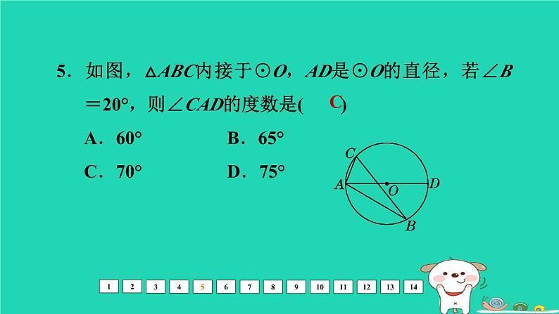 福建省2024中考数学阶段测第九章圆基础课件第6页