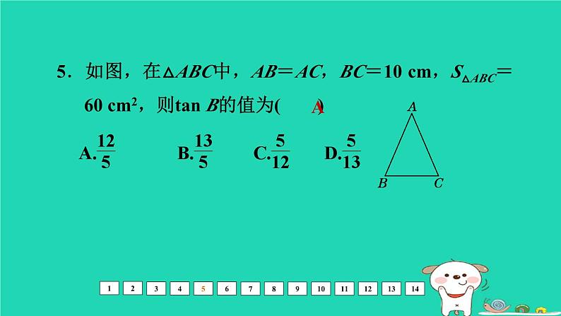 福建省2024中考数学阶段测第七章三角形提升课件第6页