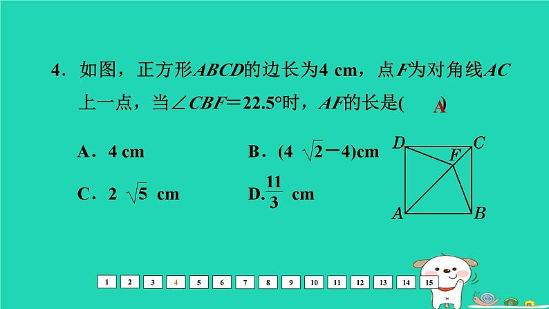 福建省2024中考数学阶段测第八章四边形课件第5页