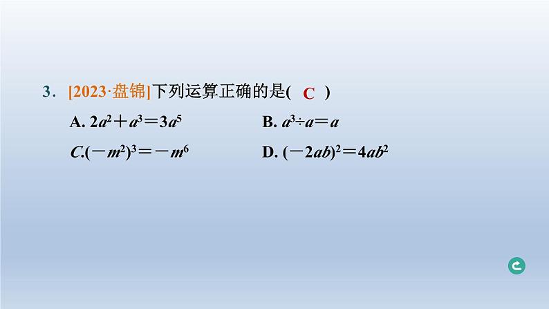 辽宁省2024中考数学第一部分数与式第3课时整式与因式分解课件第4页