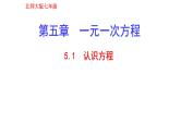 5.1认识方程 课件 2024-2025学年北师大版七年级数学上册