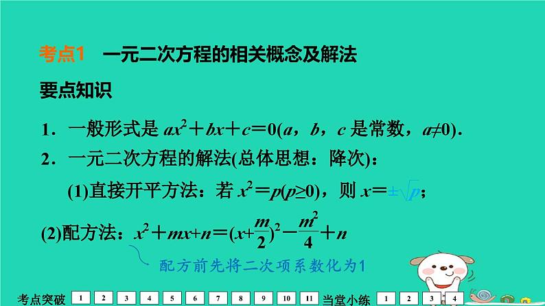 福建省2024中考数学1教材梳理篇第2章方程与不等式一元二次方程及其应用课堂讲本课件第4页