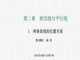 2.1 第2课时 垂 直 课件 2024—2025学年北师大版数学七年级下册