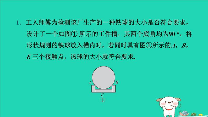 湖北省2024中考数学圆的基本性质课件第2页