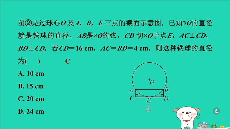 湖北省2024中考数学圆的基本性质课件第3页