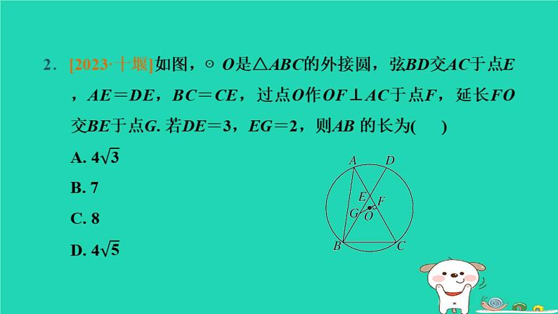 湖北省2024中考数学圆的基本性质课件第4页