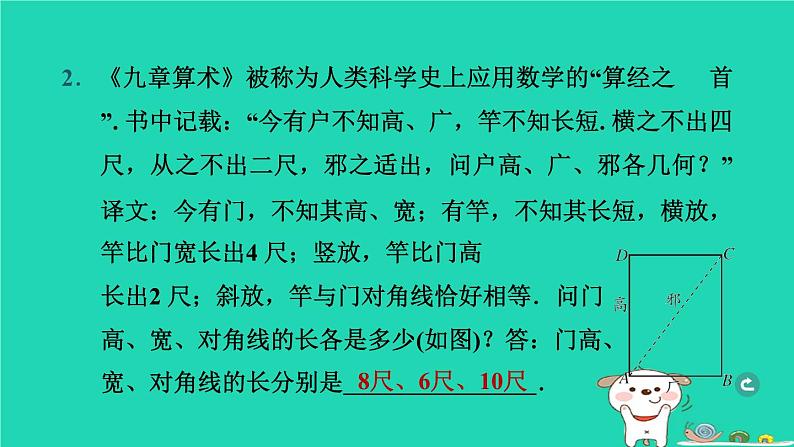 湖北省2024中考数学直角三角形课件第3页