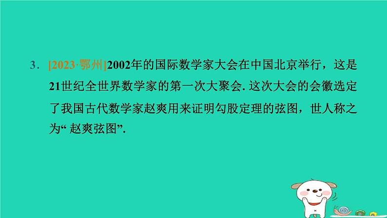 湖北省2024中考数学直角三角形课件第4页