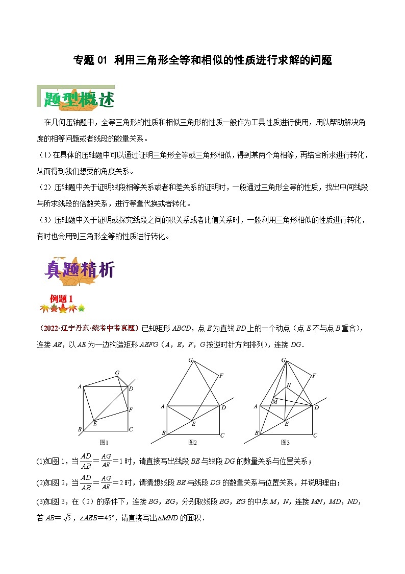 中考数学二轮复习压轴大题突破训练专题01 利用三角形全等和相似的性质进行求解的问题（原卷版）第1页
