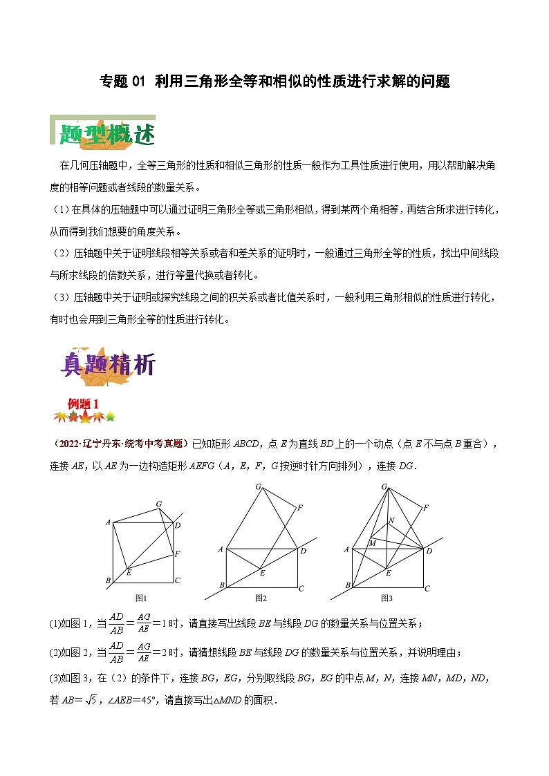 中考数学二轮复习压轴大题突破训练专题01 利用三角形全等和相似的性质进行求解的问题（解析版）第1页