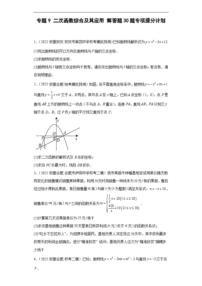 （安徽专用）中考数学数学二轮复习训练 专题9 二次函数综合及其应用（原卷版）第1页