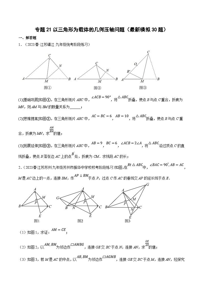 （江苏专用）中考数学二轮复习大题练习专题21以三角形为载体的几何压轴问题（最新模拟30题）（原卷版）第1页